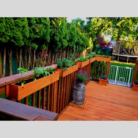 Herb/pepper garden on the deck Deck Herb Garden, Herb Planters Outdoor, Porch Gardens, Pepper Garden, Herb Garden Boxes, Deck Railing Planters, Container Gardening Ideas, Container Herb Garden, Herb Garden Planter