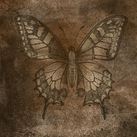 Free Paper Texture, Vintage Grunge, Vintage Butterfly, Background Vintage, Brown Aesthetic, Fairy Grunge, Pics Art, A J, Aesthetic Vintage