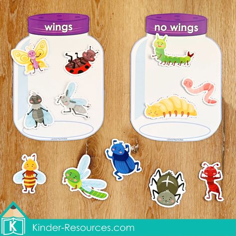 Bugs Preschool Center Activities. Sorting bugs with and without wings Insects Activities For Kindergarten, Bugs And Insects Activities For Toddlers, Insects Activities For Kids, Bugs And Insects Preschool Activities, Insects Preschool Activities, Bug Worksheets, Preschool Scavenger Hunt, Vocab Activities, Bug Activities