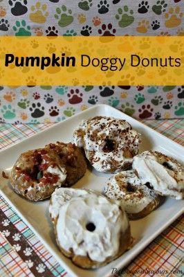 Pumkin Doggy Donuts Halloween Dog Treats, Bacon Dog Treats, Bacon Dog, Easy Dog Treat Recipes, Dog Treats Homemade Easy, Easy Dog Treats, Pumpkin Dog Treats, Nut Recipes, Homemade Peanut Butter