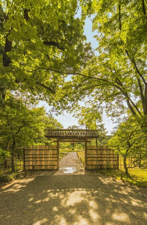 Bamboo Gate Entrance, Bamboo Gate Ideas, Bamboo Gate Design Entrance, Bamboo Gate Design, Bamboo Entrance, Bamboo Gate, Single Wide Trailer Remodel, Bamboo Farm, Bamboo Garden Fences