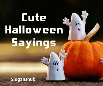 100 Cute, Spooky And Funny Halloween Sayings Spider Sayings Halloween, Batty Halloween Sayings, Happy Halloween Quotes Cute, Mummy Quotes Halloween, Cute Spooky Sayings, Cute Halloween Sayings Signs, Halloween Quotes And Sayings Cute Short, Halloween Greetings Humor, Spooky Sayings For Letter Board