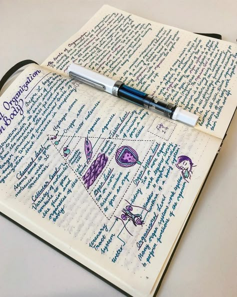 Aesthetic Notes Cursive, Cursive Notes Aesthetic, Cursive Handwriting Notes, Cursive Notes, Write In Cursive, Instagram Notes, Notes Taking, Book Review Journal, Aesthetic Writing