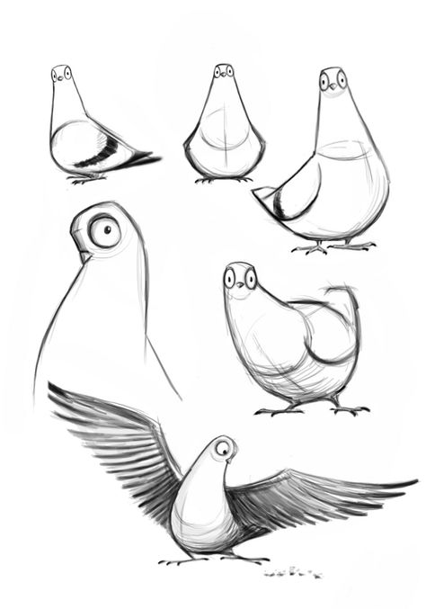 Some character designs of pigeons I completed last night for a film I'm directing called "SHOOT".  It tells the story about an Assas... Cartoon Birds, 캐릭터 드로잉, Animal Cartoon, Animal Sketches, Bird Drawings, Cartoon Character Design, Creature Concept, Character Designs, Design Reference