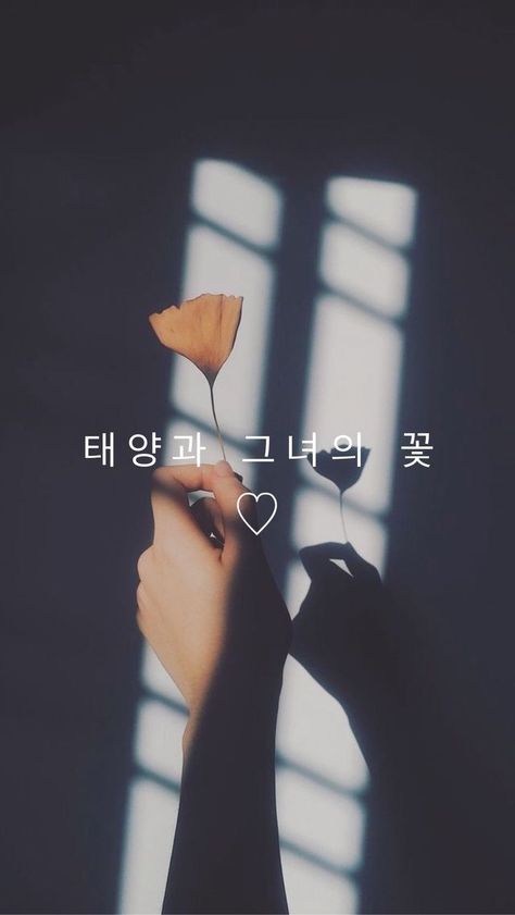 Iphone Wallpaper Korean, Flower Aesthetic Dark, Sun And Her Flowers, Korea Wallpaper, Words Wallpaper, Wallpaper Flower, Bts Wallpaper Lyrics, Aesthetic Wallpaper Iphone, Dark Phone Wallpapers