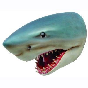 SHARK HEAD 1 Shark Head, Shark Decor, Big Shark, Fish Decor, Animal Png, Head Mask, Boat Painting, Fishing Decor, White Sharks