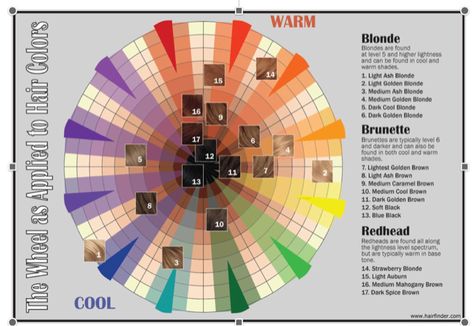 Hair Color Wheel, Matrix Hair Color, Colour Wheel Theory, Clairol Hair Color, Color Wheel Projects, Clairol Hair, Dark Golden Blonde, Matrix Hair, Light Ash Brown