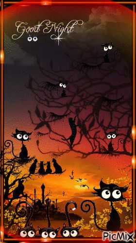 Good Night Gift, Spooky Good Night, Good Night Fall Images, Good Night Gifs, Eyes Gif, Good Night Cards, Good Night Cat, Images Emoji, Lovely Good Night