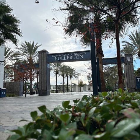 Cal State Fullerton on Instagram: "#FinalsWeek is here, but there is nothing to fear! Below are some study tips to help you pass your exams and achieve your goals! ✏️📚 1. Quiz yourself on newly learned concepts. 2. Break up your notes and lecture material to make it digestible. 3. Create study groups to practice the material. 4. Take advantage of #CSUF resources like the 24/7 library hours. 5. Take breaks to avoid burnout. Enjoy some fresh air, get food or take a nap. 6. Get the sleep you nee Cal State Northridge, Fullerton College, Pass Your Exams, Cal State Fullerton, California State University Fullerton, College Nursing, Avoid Burnout, Cal State, University Life