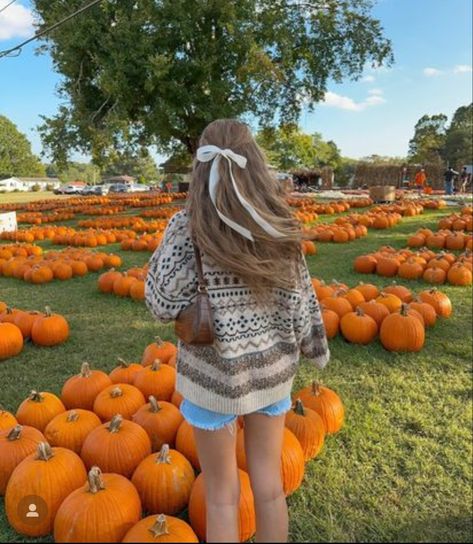 Tumblr, Preppy Fall Pfp, Fall Szn, Pumpkin Patch Pictures, Preppy Fall, Fall 24, Halloween Vibes, Fall Inspo, Fall Photoshoot