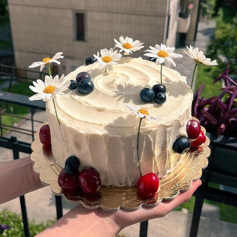 some wild berry summer vibes 🍒 carrot cake with toasted nuts and spices, decadent cream cheese frosting & cherries, blueberries and chamomile flowers #soulsoftener 04: carmomile cake • • • #cake #cakeart #cakescakescakes #birthdaycakeideas #carrotcake #cakedesigns #cakebaker #chamomile #tortedecorate #tortecompleanno #banhsinhnhat #banhgato #summercake Chamomile Tea Cake With Strawberry Icing, Daisy Strawberry Cake, Chamomile Tea Cake, Vintage Cake Cherries, Strawberry Camomile Cake, Summer Cakes, Chamomile Flowers, Wild Berry, Cake Cake