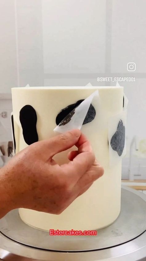 Easy way to make cow 🐄 print with buttercream, no fondant needed 😍 Pipe the black buttercream using big round tip and cover it with parchment paper. Smooth it out with your finger to the desired shape and freeze it for about 15 minutes and then peel the parchment paper, and you get the cow print, easy right 😘 Teal smooth hound and smooth pup cake comb from Estercakes.com I m using Fondx from @caljava for the fondant details Use code : Ester10 for discount I m using Swiss meringue buttercre Fondant Cow Cake, Diy Cow Print Cake, Cow Smash Cake Boys, Cow Sheet Cake, Cow Print Cake Ideas, Diy Cow Cake, Cow Print Cake, Happy Birthday Cow, Cow Print Cakes