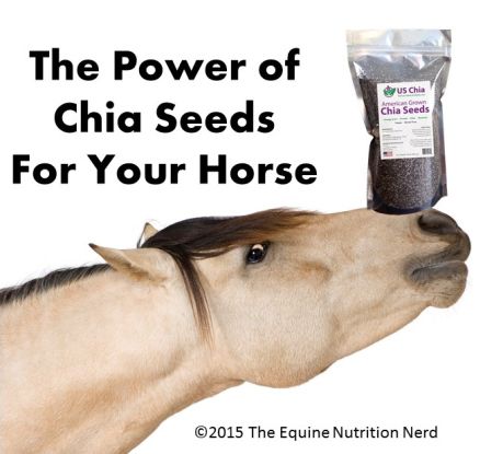 Horse Training, Horse Nutrition, Equine Nutrition, Healthy Horses, Horse Food, Horse Supplements, Horse Facts, Horse Care Tips, Horse Feed