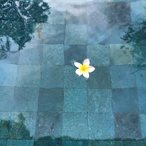 Bali Green Stone, Bali Pool Tiles, Green Pool Tiles. Contact : Owner@naturalstoneindonesia.com. WA:+6287739833188 Green Pool Tiles, Pool Goals, Bali Pool, Lap Pools Backyard, Swimming Pool Images, Mosaic Pool Tile, Green Pool, Outside Pool, Japanese Soaking Tubs