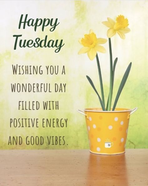 Good morning 🌞 Have a terrific Tuesday. 💋💜 Thoughtful Tuesday, Good Morning Tuesday Wishes, Have A Terrific Tuesday, Beautiful Day Quotes, Tuesday Vibes, Happy Tuesday Morning, Tuesday Quotes Good Morning, Tuesday Greetings, Tuesday Inspiration