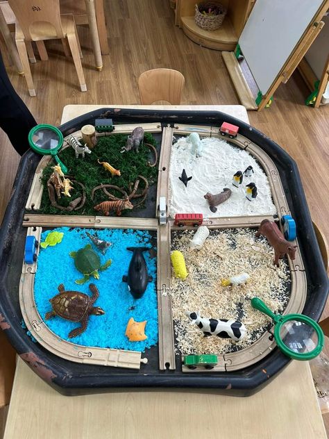 Hibernation Tuff Tray Ideas, Animal Habitat Sensory Bin, Zoo Tuff Tray, Animal Tuff Tray Ideas, Animal Tuff Tray, Sensory Tuff Tray Ideas, Preschool Provocations, Animals Eyfs, Eyfs Areas