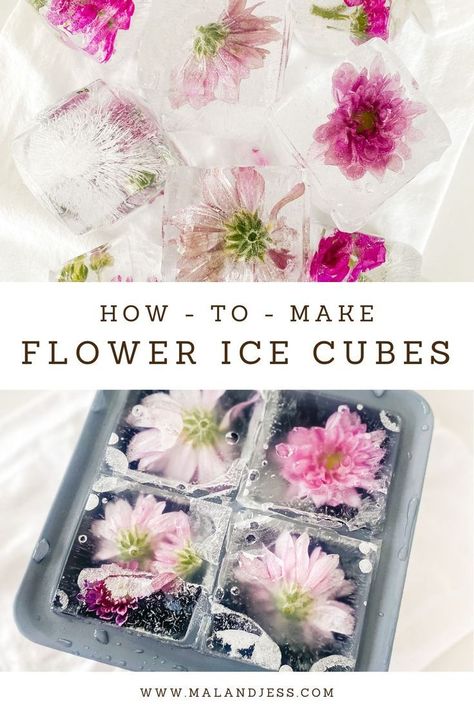 How to Make Flower Ice Cubes Ice Cubes Ideas, Flower Bar Ideas, Ice Cube Tray Recipes, Fancy Ice Cubes, Floral Ice Cubes, Flower Ice Cubes, Floral Drink, Floral Ice, Flower Pedals