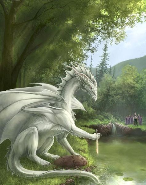 the beauty of the white dragon Dragon Medieval, Creature Fantasy, Yin Yang Tattoos, Dragon's Lair, Cool Dragons, Fairy Dragon, Mythical Beast, Dragon Pictures, World Of Fantasy