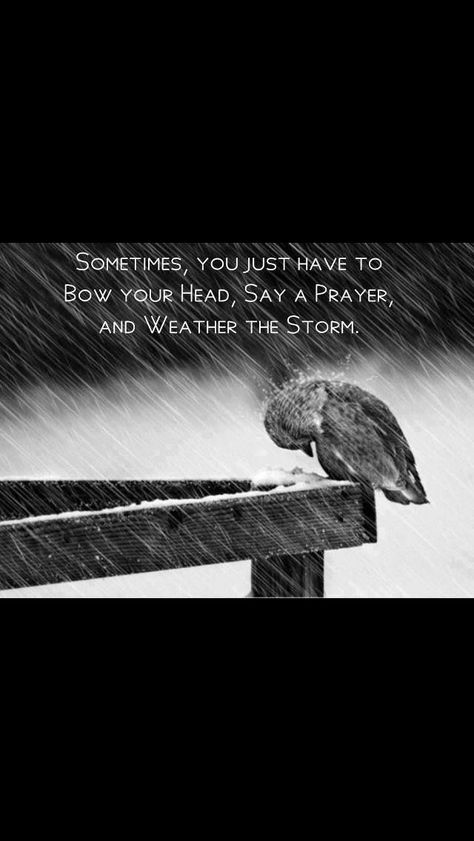 Sometimes, you just have to bow your head, say a prayer, and weather the storm. Horizontal Composition, Say A Prayer, Ayat Alkitab, Have Inspiration, In The Rain, The Rain, Words Of Wisdom, Bible Verses, Life Quotes