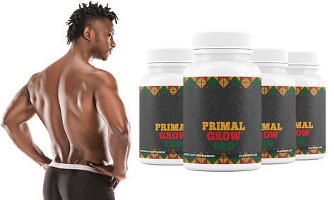 Primal Grow Pro Review: Unveiling the Power of Natural Enhancement - Bloglabcity.com Home Doctor, Testosterone Levels, Male Enhancement, Side Effects, The Incredibles, Health, Design