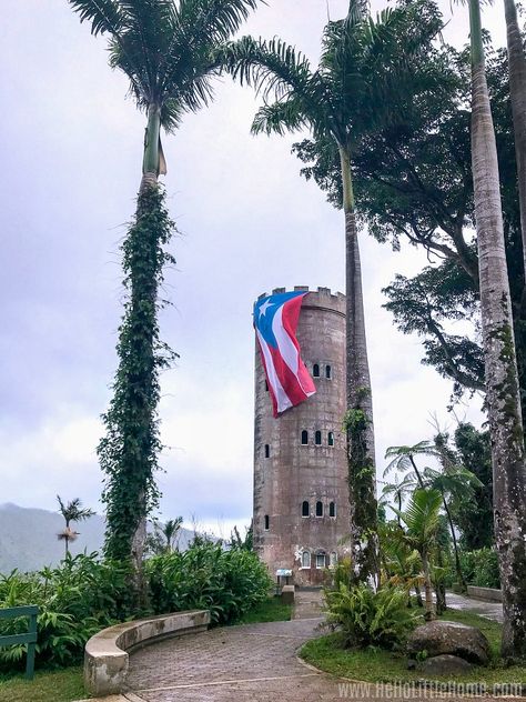 Tainos Puerto Rico, Pr Aesthetic, El Yunque Puerto Rico, Puerto Rico El Yunque, Yunque Rainforest Puerto Rico, Puerto Rico Rincon, El Yunque National Forest, El Yunque Rainforest, Rainforest Cafe