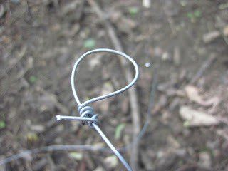 How to Make a Squirrel Snare Trap | Surviving in the Wilderness | Survival Skills & Preparedness Tips by Survival Life at http://survivallife.com/trap-for-your-life/ Snare Trap, Live Animals, Survival Techniques, Survival Life, Survival Tools, Wilderness Survival, Survival Food, Outdoor Survival, Survival Guide