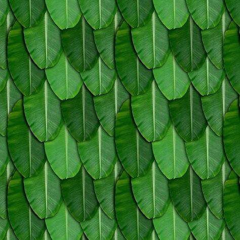 (1) WhatsApp Banana Leaf Background, Ganesha Pooja, Pooja Backdrop, Leaves Backdrop, Banana Leaf Decor, Baby Cartoon Characters, Pooja Decor, Bee Pictures, Banana Leaf Wallpaper