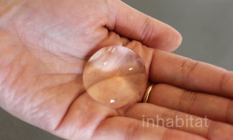 Inhabitat's DIY video showing how to make an edible water "bottle" using spherification. Edible Water Bottle, Stem Summer Camp, Water Blob, Diy Edible, Diy Water Bottle, Spring Easter Crafts, World Water, Beverage Packaging, Science For Kids