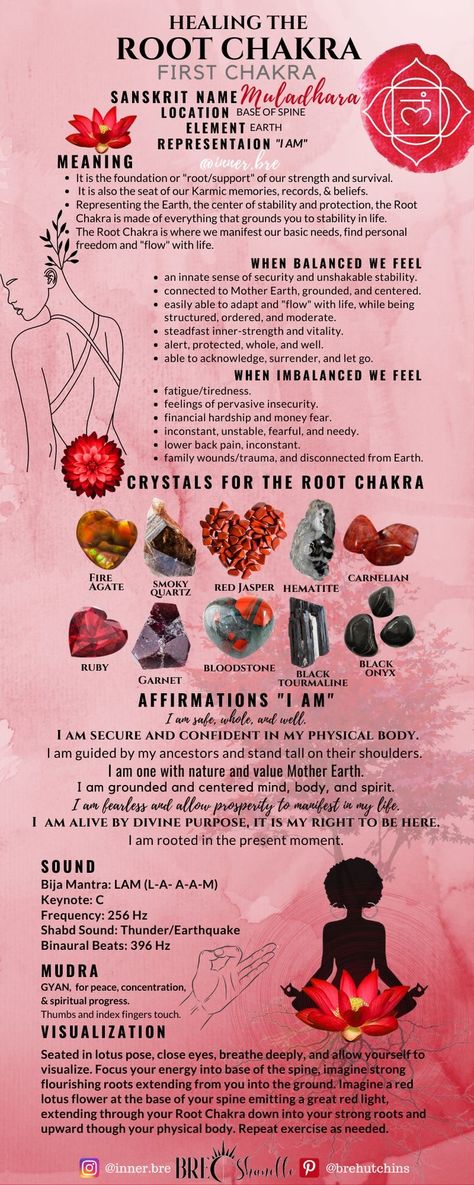 Chakra For Beginners, Reiki Cura, The Root Chakra, Chakra Raiz, Chakra Healing Meditation, Chakra Work, Chakra Health, Root Chakra Healing, Chakra Cleanse