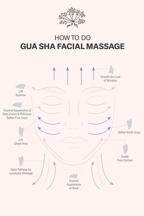 Where To Gua Sha Your Face, How To Do A Facial Massage, Manual Lymph Drainage Face, Ice Roller And Gua Sha, Benefits Of Guasha, Gua Sha Technique Printable, Gua Sha Butterfly, How To Do A Face Massage, Gua Sha Facial Massage