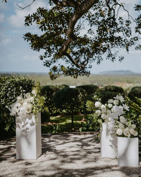 All posts • Instagram Fig Tree Restaurant, Golf Club Wedding Decor, Summer Wedding Aesthetic, Wedding Ceremony Florals, 2025 Design, Wedding Columns, Floral Ceremony, Wedding Layout, Tree Restaurant