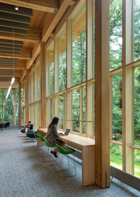 Library Atrium Architecture, Organic School Architecture, Architecture Near Water, Small Library Architecture, Biophilic Library, School Campus Architecture, Tropical Library, Materiality Architecture, Community Space Design