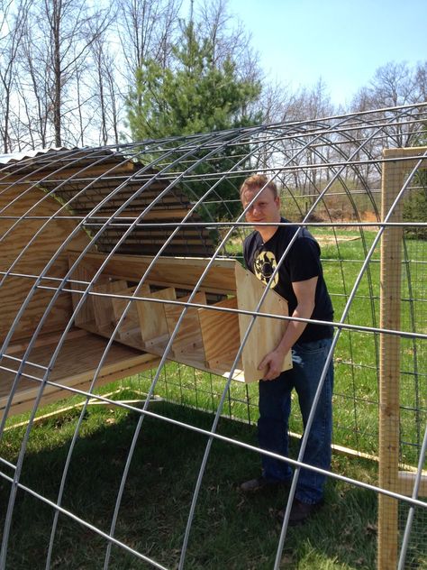 Permaculture, Chicken Tractor Diy Plans, Diy Movable Chicken Run, Cattle Panel Chicken Tractor, Diy Hoop Chicken Coop, Hoop Chicken Tractor, Chicken Tractors Diy, Chicken Coop Hoop House, Diy Chicken Tractor Plans