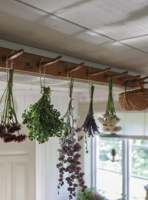 Herb Rack Kitchen, Drying Herbs Aesthetic, How To Hang Herbs To Dry, Diy Herb Drying Rack Ideas, Cottagecore Lounge, Diy Headboard Ideas, Popular Home Decor, Boho Decor Ideas, Hanging Herbs