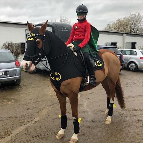 Horse Fancy Dress Costume, Batman Fancy Dress, Horse Halloween Ideas, Horse Fancy Dress, Batman And Robin Costumes, Cookie Monster Costume, Horse Halloween Costumes, Horse Halloween, Horse Costume