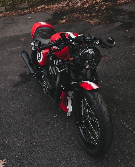 The red Triumph. #foxtrotmoto #triumph #thruxton #moto #motorcycle Concept Bike, Retro Bikes, Moto Scrambler, Мотоциклы Cafe Racers, Vintage Cafe Racer, Triumph Thruxton, Cafe Bike, Cafe Racing, Indian Motorcycles