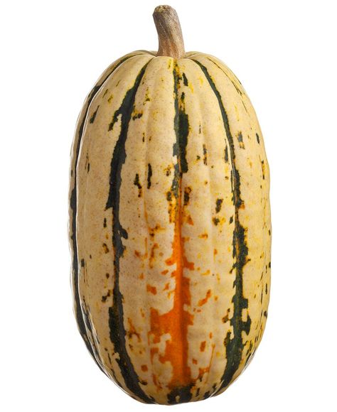 Types Of Squash Winter, Types Of Squash, Squash Types, Winter Squash Recipes, Squash Varieties, Pumpkin Candy Corn, Delicata Squash, Low Calorie Desserts, Decor Buy