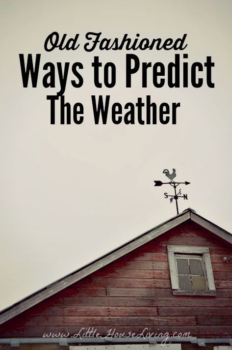 What seems to be more accurate? The 6 o'clock news? Or your aching knees? Here are some old-fashioned ways to predict the weather! Aching Knees, Hydro Power, Wild Foraging, Weather Predictions, Domestic Goddess, Homestead Survival, Solar Wind, Emergency Prepping, Meteorology