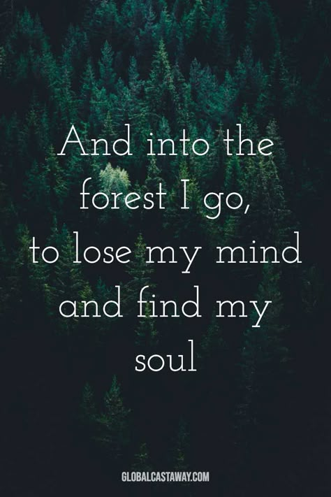 Forest Quotes, New Adventure Quotes, Into The Woods Quotes, Into The Forest I Go, Adventure Campers, Inspire Quotes, Best Travel Quotes, Into The Forest, Hiking Quotes