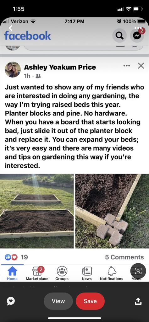 1 Acre Homestead Layout, Garden Beds Layout, Raised Garden Beds Layout, Creative Garden Ideas, Diy Pallet Furniture Living Room, Home Stead, Aesthetic Gardening, Diy Room Furniture, Gardening Aesthetic