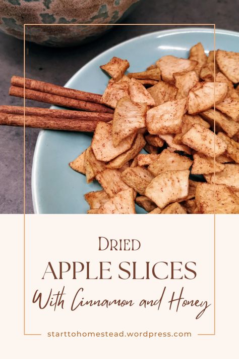 Dried apples with cinnamon and honey Dehydrated Cinnamon Apples, Dried Cinnamon Apple Slices, Dehydrate Apples In Oven, Baked Apple Slices With Cinnamon, Dried Apples Dehydrator, How To Dry Apples, Autoimmune Diet Plan, Dried Apple Slices, Dried Apple Rings