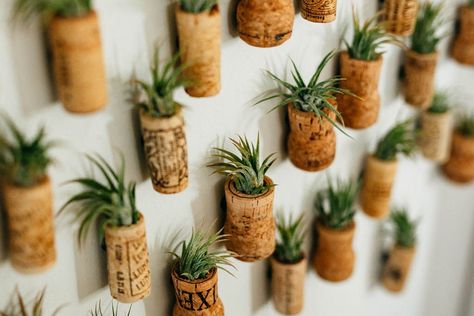 Air Plant Wedding, Wine Corks Decor, Air Plants Diy, Plant Wedding Favors, Cute Fridge, Plant Wedding, Wine Cork Diy Crafts, Wine Cork Diy, Wine Cork Art