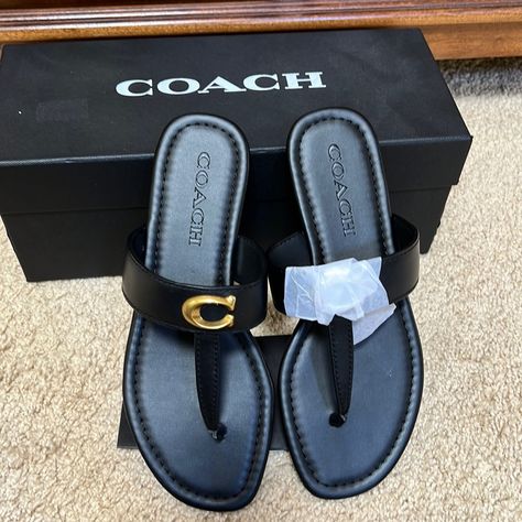 Nib! Coach Sz 5.5 B Black Leather Jessie Thong Sandals . Comfy And Sold Out. Sandals Comfy, Navy Blue Sandals, Pretty Shoes Sneakers, Classy Shoes, Kitten Heel Sandals, Beaded Sandals, Snakeskin Heels, Black Leather Sandals, Only Shoes