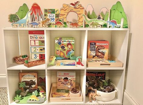 Dinosaur Montessori Bedroom, Dinosaur Toy Rotation, Playroom Toy Rotation, Toy Rotation Shelf, Themed Toy Rotation, Toy Rotation Themes, Toys Rack, Dinosaur Shelf, Learning Shelf