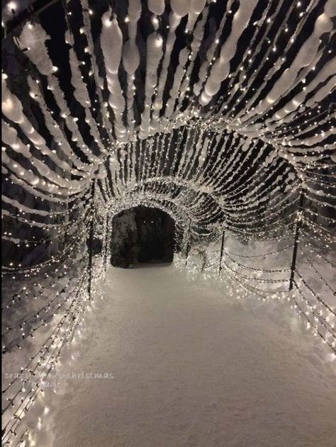 Grouse Mountain, Christmas Light Installation, Winter Szenen, Luge, Winter Magic, Winter Scenery, Winter Beauty, Snow Scenes, Winter Wonder