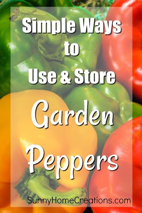 What To Do With Green Peppers From The Garden, How To Store Peppers From Garden, Storing Peppers From Garden, How To Use Up Green Peppers, What To Do With Lots Of Green Peppers, Best Way To Store Peppers, Preserve Green Peppers, What To Do With Garden Peppers, How To Preserve Peppers