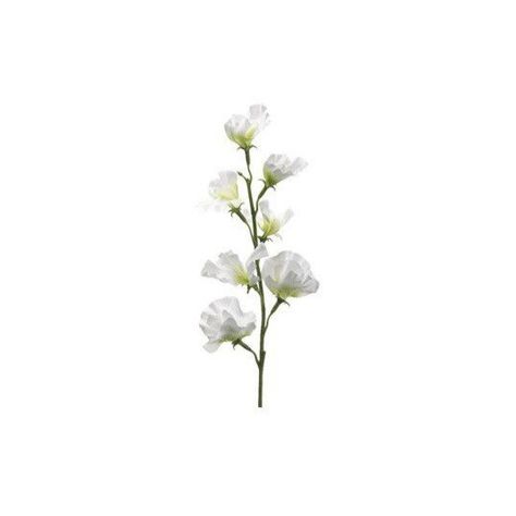 Coquette Flowers Png, Flower Iphone Icons, Flower Carrd Png, White Flower App Icon, Small White Widget, Notion Flower Icon, Aesthetic Icons White Background, Flowers Widget Aesthetic, Icons White Background Aesthetic