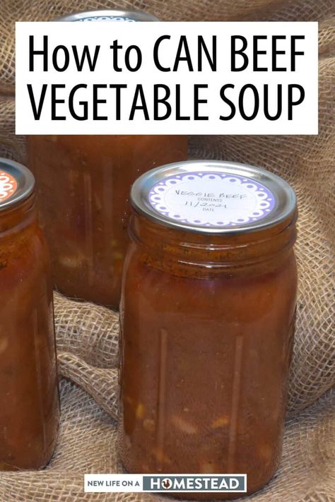 Canning Vegetable Beef Soup, Veg Beef Soup, Beef Veggie Soup, Canning Soup Recipes, Veg Soup Recipes, Beef Vegetable Soup, Hamburger Vegetable Soup, Pressure Canning Recipes, Canning Process