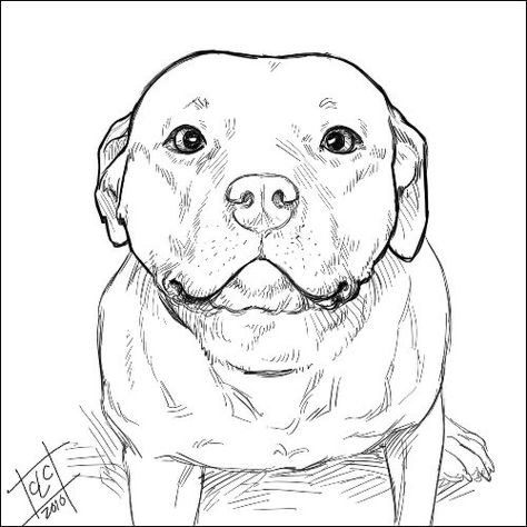 Pit Bull Drawing, Pitbull Drawing, Pitbull Tattoo, Pitbull Art, Dog Line Art, Dog Line, Dog Sketch, Arte Inspo, Dessin Adorable