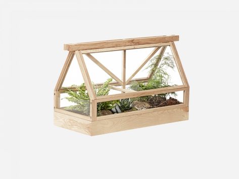 Greenhouse top part Greenhouse Glass, Mini Serre, Indoor Greenhouse, Design House Stockholm, Interior Design Process, Design Object, Room Diffuser, Nordic Lights, Oak Sideboard